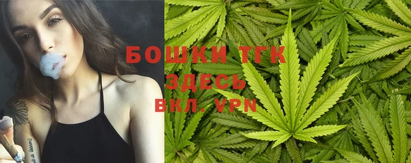 ALPHA PVP Карталы
