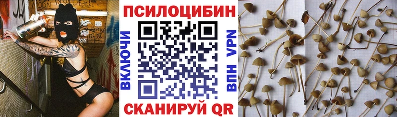 Купить закладки  Орлов  Галлюциногенные грибы мицелий 
